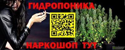 трава Лесосибирск